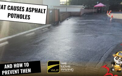 🕳️ What Causes Asphalt Potholes (And How to Prevent Them)