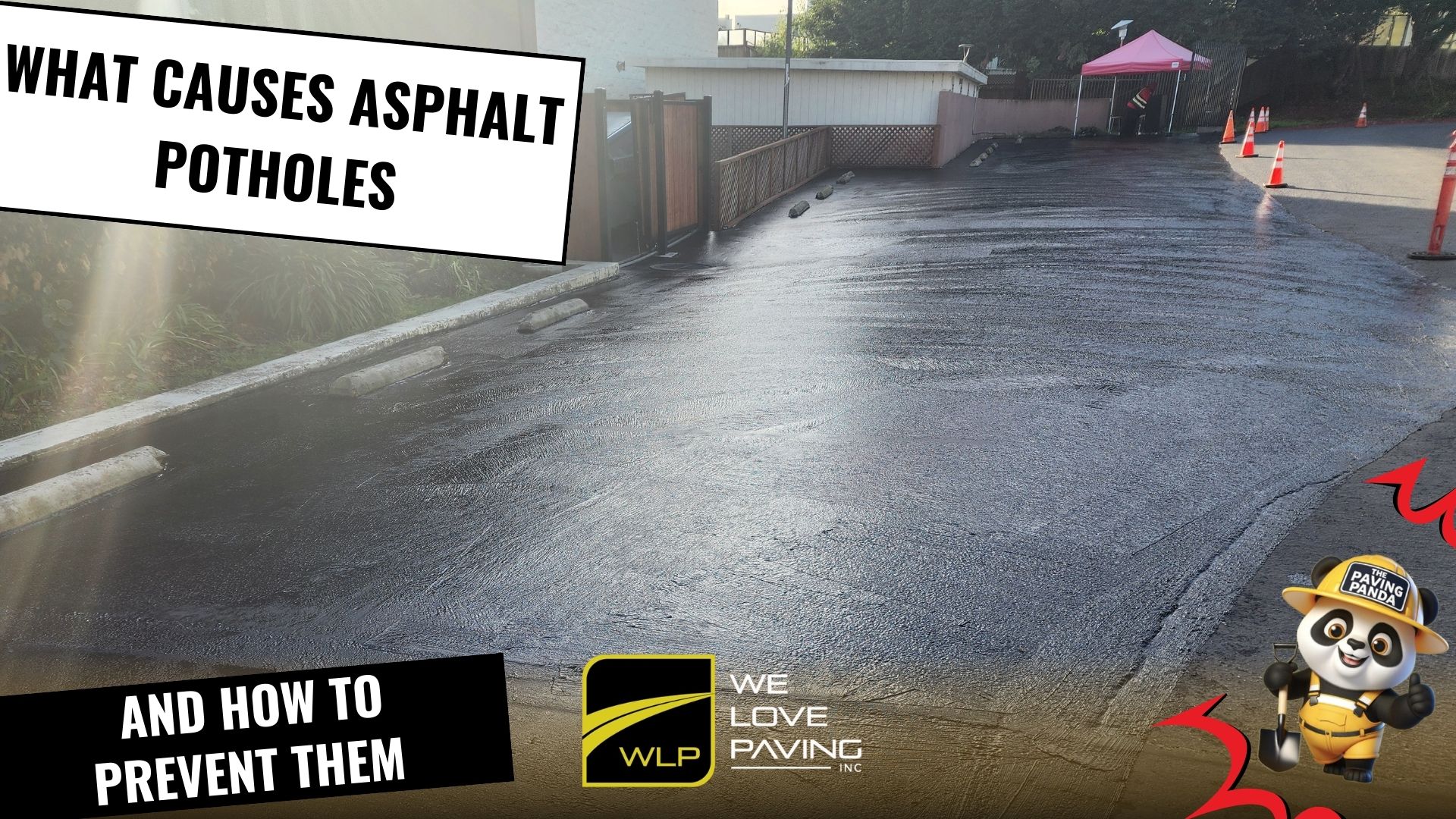 🕳️ What Causes Asphalt Potholes (And How to Prevent Them)